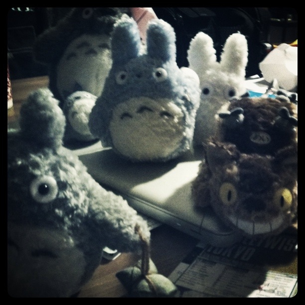  (Totoro with friends and Totoro subspecies)