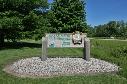 Magee Marsh