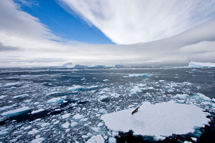 Weddell Sea, Antarctica