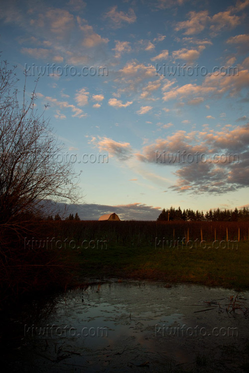Willamette Valley Willamette Valley