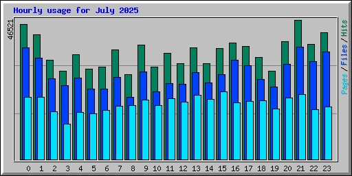 Hourly usage for July 2025