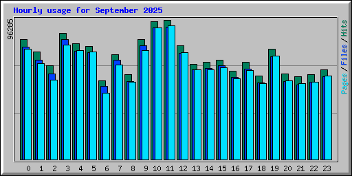 Hourly usage for September 2025