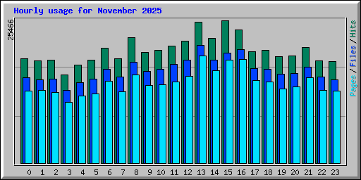 Hourly usage for November 2025