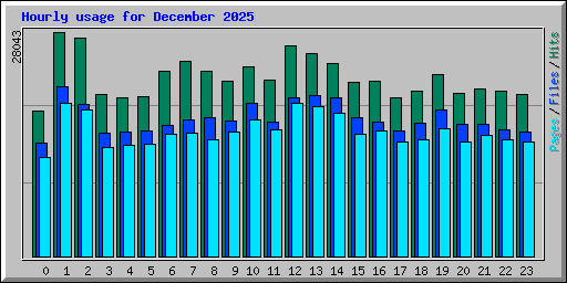 Hourly usage for December 2025