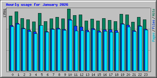 Hourly usage for January 2026