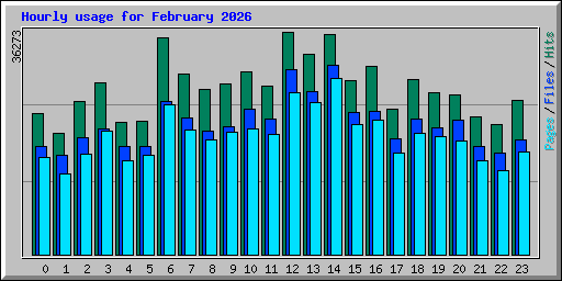 Hourly usage for February 2026
