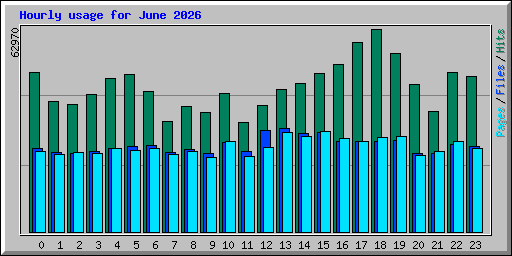Hourly usage for June 2026