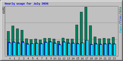 Hourly usage for July 2026