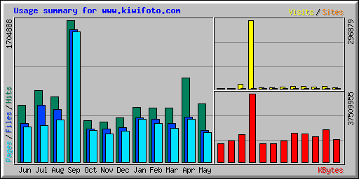 Usage summary for www.kiwifoto.com