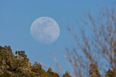 Thumb Picture @ Kiwifoto.com
