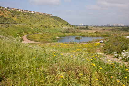 Ballona Freshwater Marsh