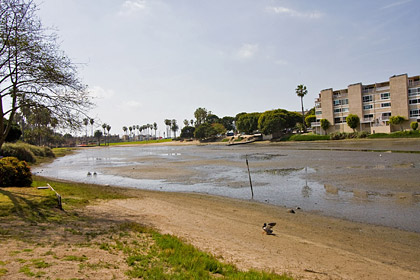 Del Rey Lagoon