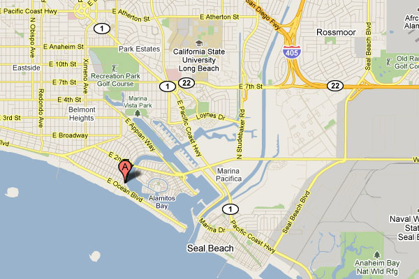 Directions to Black-tailed Gull