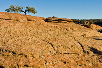 Canyon De Chelly