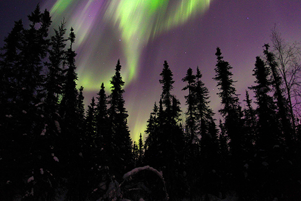 Aurora Borealis Photo @ Kiwifoto.com