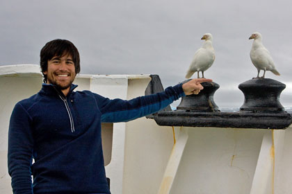 Pale-faced Sheathbill Image @ Kiwifoto.com