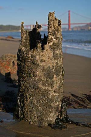 Golden Gate Bridge