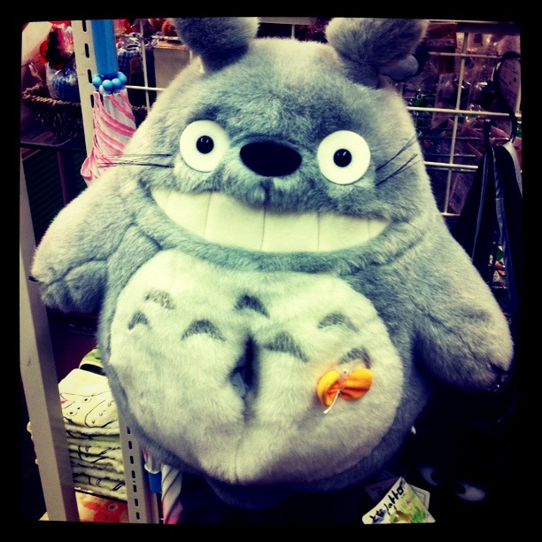 Totoro Picture @ Kiwifoto.com