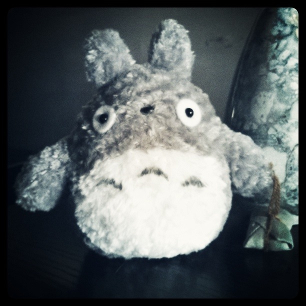 Totoro Photo @ Kiwifoto.com