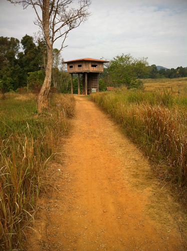 Khao Yai National Park