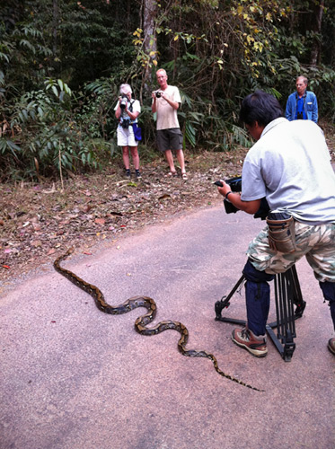 Khao Yai National Park