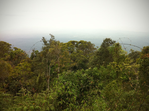 Khao Yai National Park