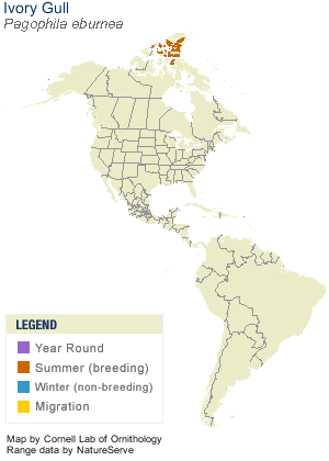 Range map of Ivory Gull
