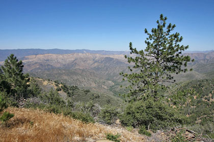 Los Padres National Forest