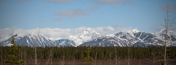 Denali