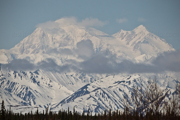 Denali