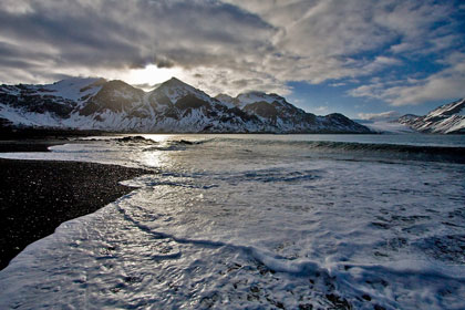 Fortuna Bay, South Georgia Island