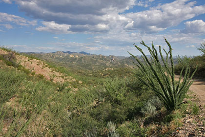 California Gulch