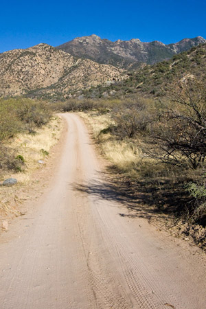 Madera Canyon