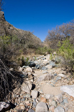 Montosa Canyon