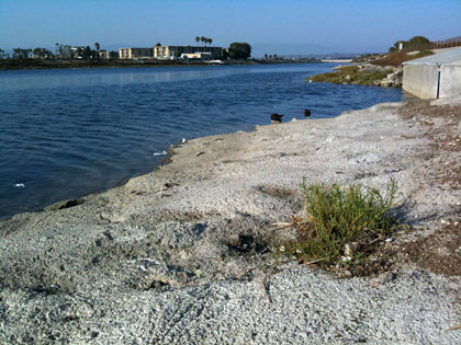 Ballona Creek