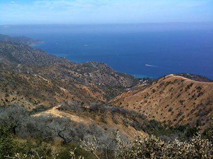 Catalina Island