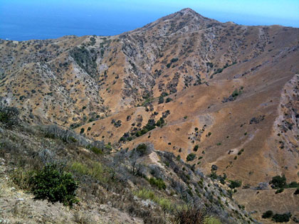 Catalina Island