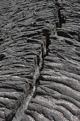 Fernandina Island, Galpagos