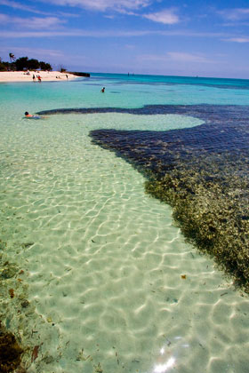 Dry Tortugas