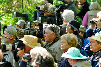 Magee Marsh Boardwalk