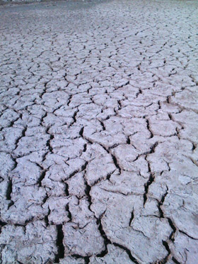 Dried Sea Bed