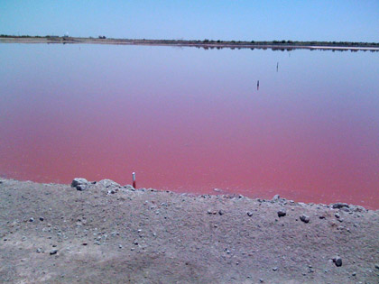 Blood Red Pond