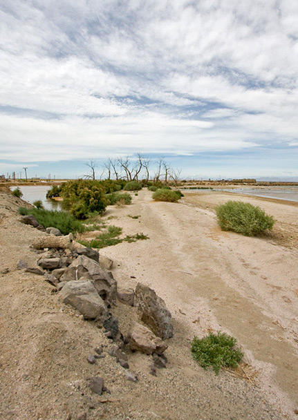 Salton Sea