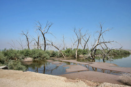 Salton Sea