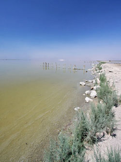 Salton Sea