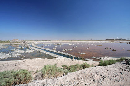 Salton Sea