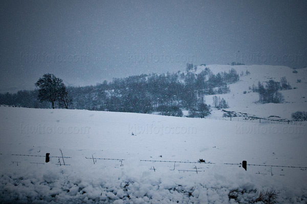 Snowstorm in the Scottish Highlands