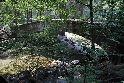 Yosemite Natl Park