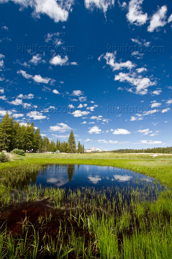 Yosemite National Park