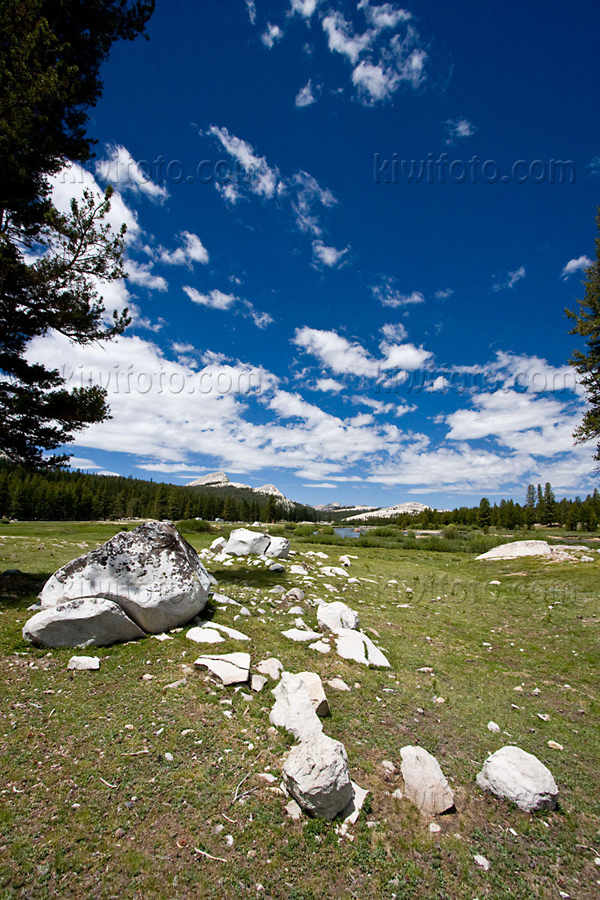 Yosemite National Park